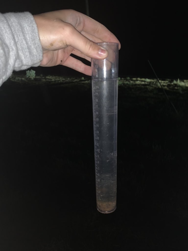 Chloe Burrell tweet media