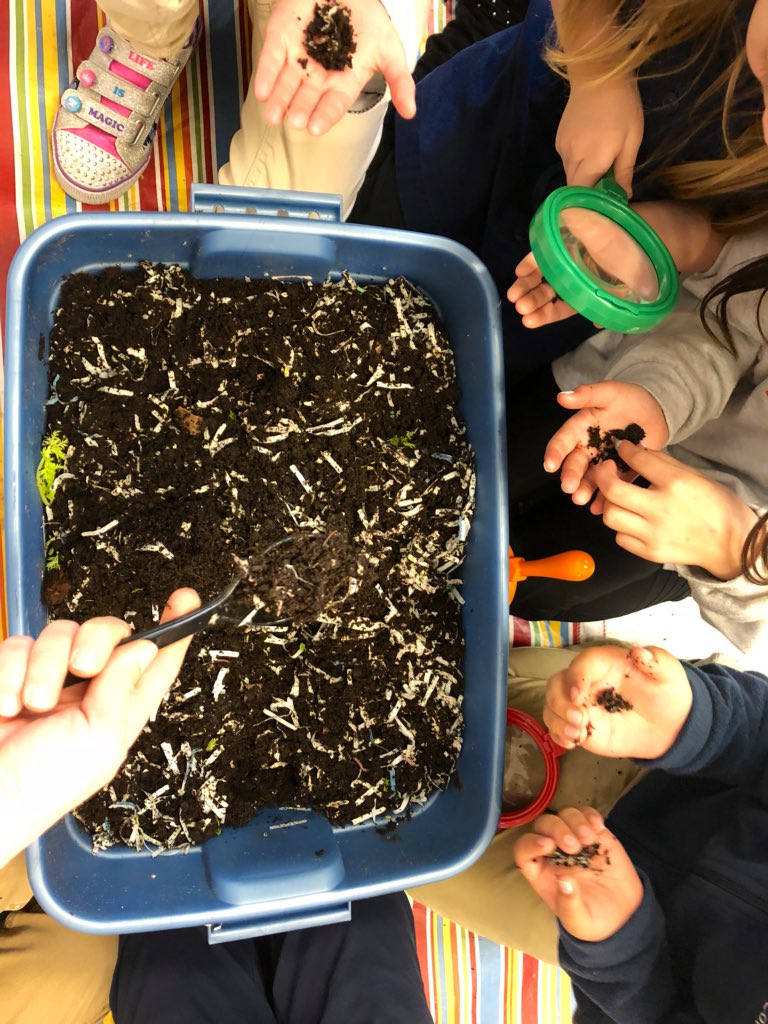 Cleveland School Garden tweet media