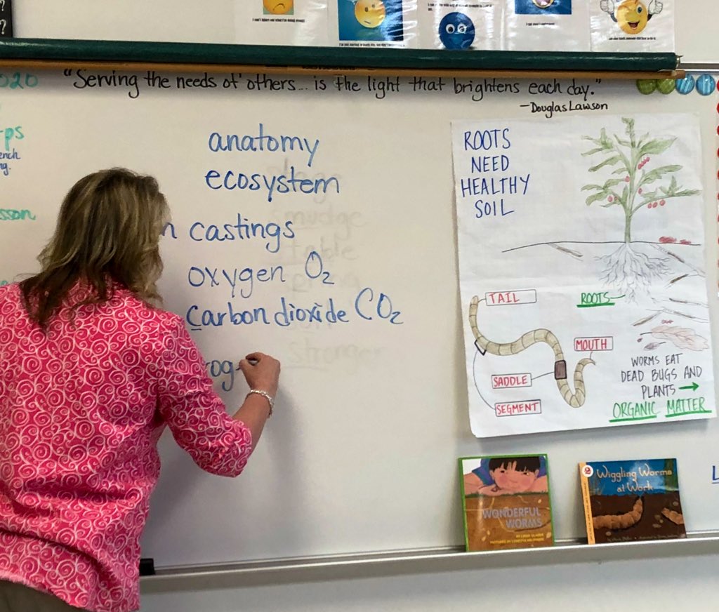 Cleveland School Garden tweet media