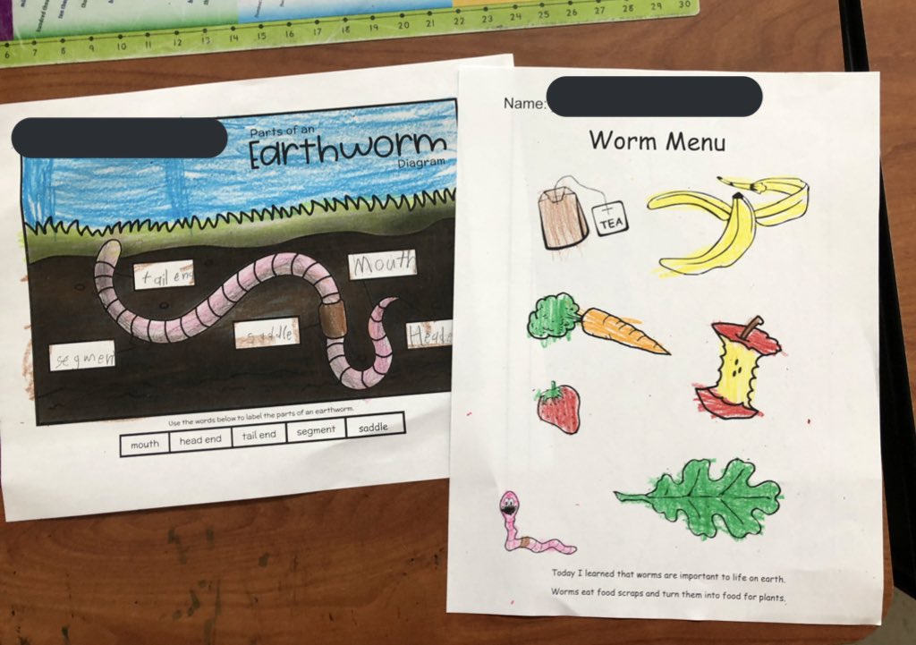 Cleveland School Garden tweet media