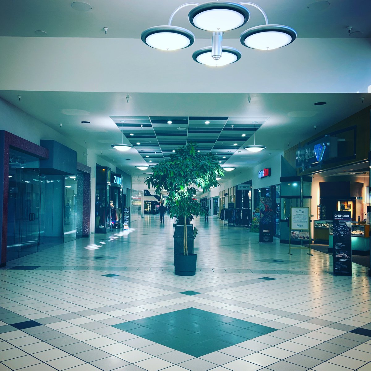 aidenanderson's tweet photo. Nobody's here...
Scouting for a vaporwave film has taken me to some pretty lonely places.
•
•
•
#pantokrator #filmmaking #filmvictoriously #indiefilm #indiefilmmaking #indiefilmhustle #vaporwave #vaporwavemusic #vaporwaveaesthetic #aesthetic #emptymall #mallsoft https://t.co/DKpCiIbHMX