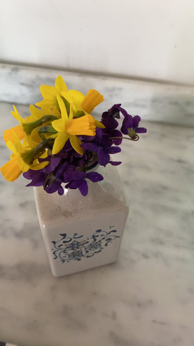 paradisone's tweet photo. Un po’ di  primavera! https://t.co/HxkDZyCR4w
