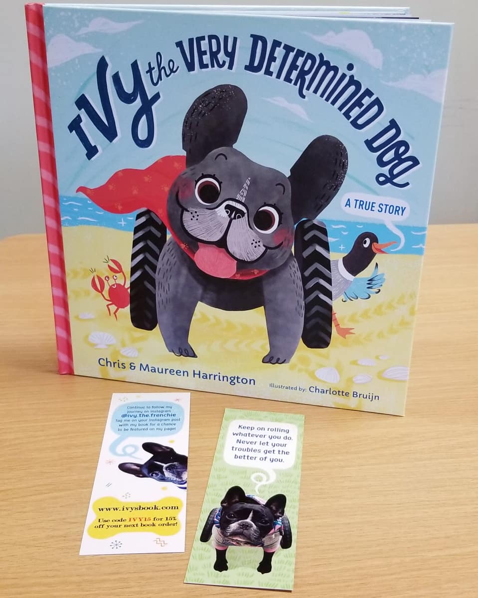 PCCD welcomed Ivy and her "mom" and author Maureen Harrington on 3/2. Ivy became paralyzed in her back legs on her 3rd birthday. Ivy's resilience and her "parent's" optimism is teaching us never to give up! ❤️ #thisispcd #pccdguestreader #possibilities #ivytheverydetermineddog