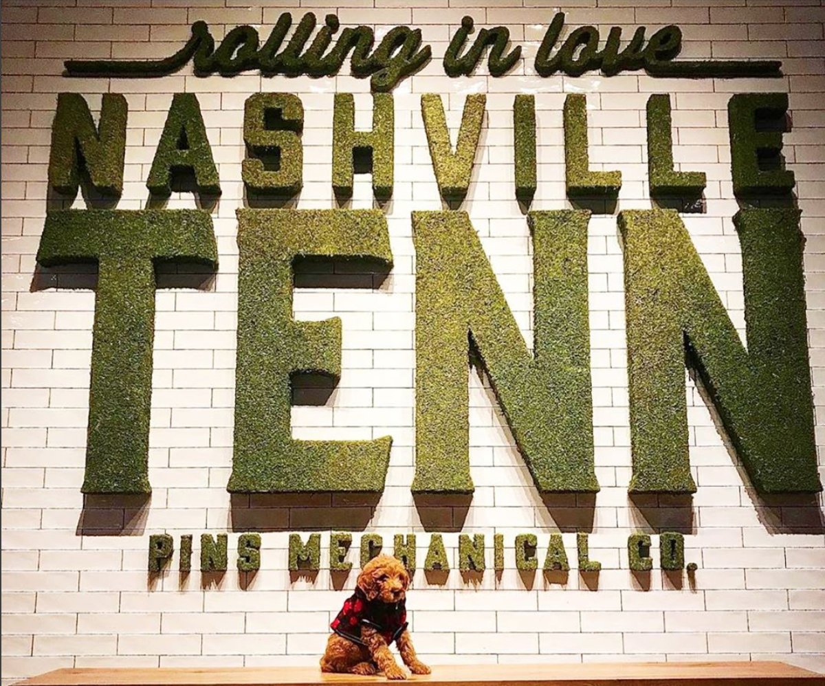 We've compiled a list of benefit shows and fundraisers for tornado relief efforts! Please let us know if you are having an event and we'll add it (cm@do615.com). #NashvilleStrong
do615.com/tornado-relief…