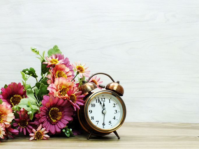MountVernonFlat's tweet photo. The silver lining of daylight saving time? We’ll get an extra hour of sunlight starting on Sunday! #loseanhour #changeyourclocks #dst ⏳ 🌷 https://t.co/s56zO4uhuG