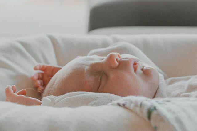 ambermstyles's tweet photo. This little one had her three month vaccinations on Monday and boy have they hit her hard! Poor Ellie has been a little off since then and just wants cuddles, light noise and sleep. Here’s to you getting better soon munchkin.
.
.
.
.
.
.
.
.
.
.
.
.
#thr… https://t.co/fBbP7XNY9J https://t.co/sBFzFW4CkV