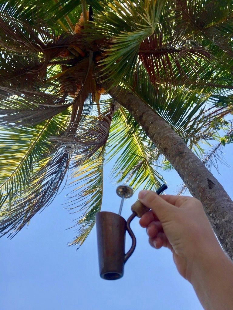 #Coconuts and #coffee, the perfect balance. One to hydrate and the other to dehydrate.
