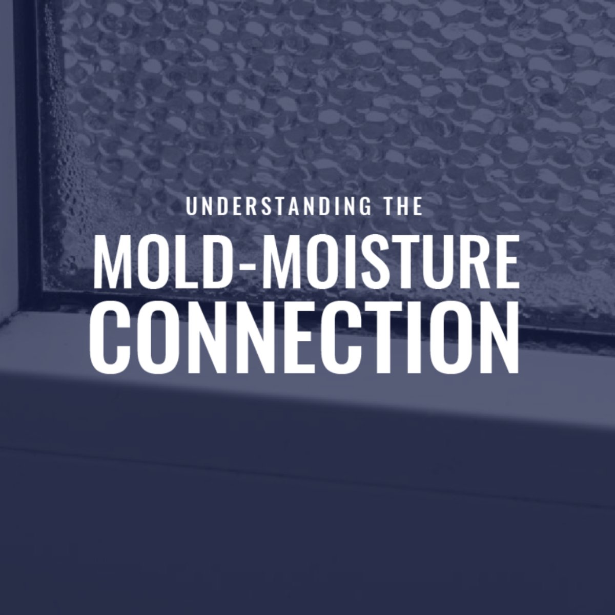 EMSMoldRemoval's tweet photo. Because mold requires moisture, anywhere in your home that is exposed to water can quickly develop mold. https://t.co/VMMZRfvCkb