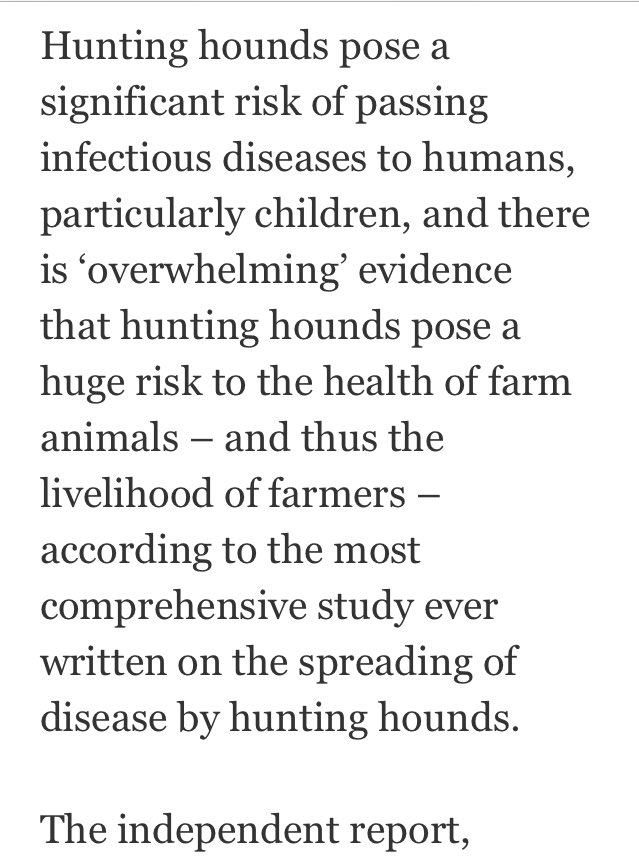 herbieharry's tweet photo. So @thehenleyshow have blocked me for asking why they &amp; @InvescoEMEA are allowing a criminally convicted hunt confirmed as a ‘real &amp; plausible risk’ to animal &amp; human health to parade at the #Henley show? Don’t people deserve to know? Please ask them. @InvescoUS @InvescoInsights https://t.co/bTzfDJHigs