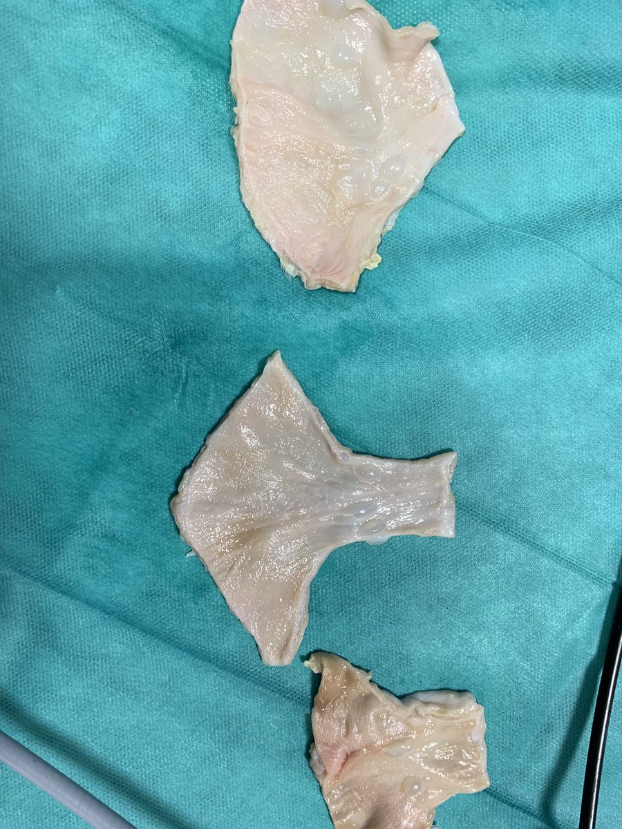 Benoît Peyronnet tweet media