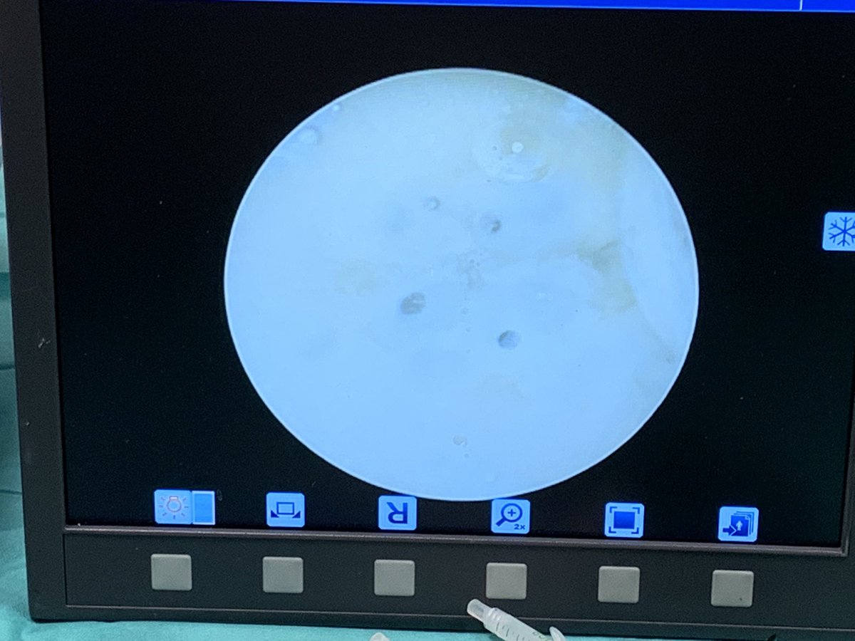 Benoît Peyronnet tweet media