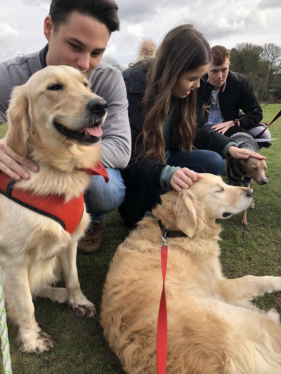Tomandtoto's tweet photo. Calling @UEAstudents! Join us for an extra wellbeing dog walk tomorrow for #UniversityMentalHealthDay Here are some pictures from today’s #Wednesday #Wellbeing #Walk https://t.co/7e28yA0zCX