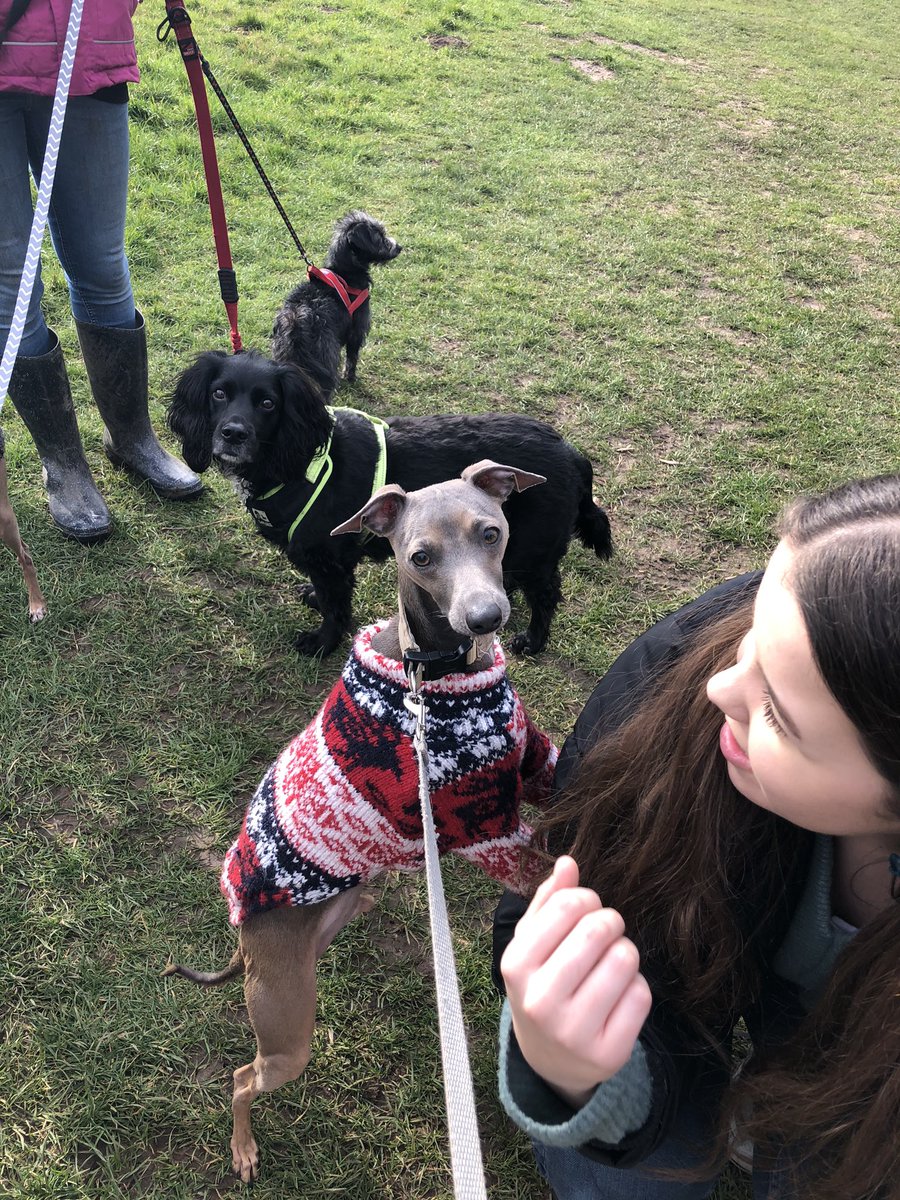 Tomandtoto's tweet photo. Calling @UEAstudents! Join us for an extra wellbeing dog walk tomorrow for #UniversityMentalHealthDay Here are some pictures from today’s #Wednesday #Wellbeing #Walk https://t.co/7e28yA0zCX