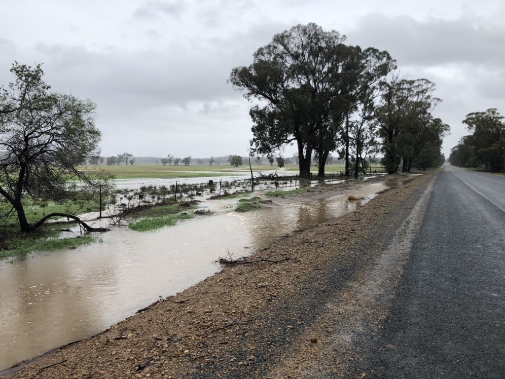 MichaelStout's tweet photo. Plenty of water on the Forbes to Quandialla road https://t.co/4UDQg0VtUk