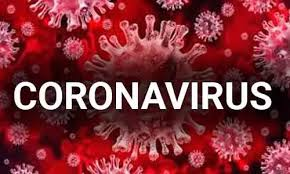 jknforus's tweet photo. CORONAVIRUS, HARUSKAH PANIK?

Simak utas ini ya gengs!

#BPJSEdukasiCorona https://t.co/x6YUXLQcok