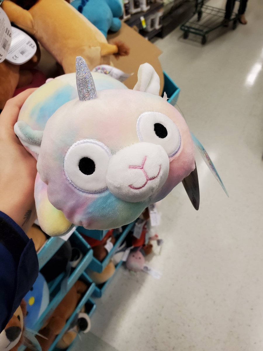 EJsingdanceact's tweet photo. Hamster Unicorn?
@LauraBaileyVO
.
.
.
Brought to you by your local save on in North Vancouver, Canada https://t.co/WylPM9JjWS