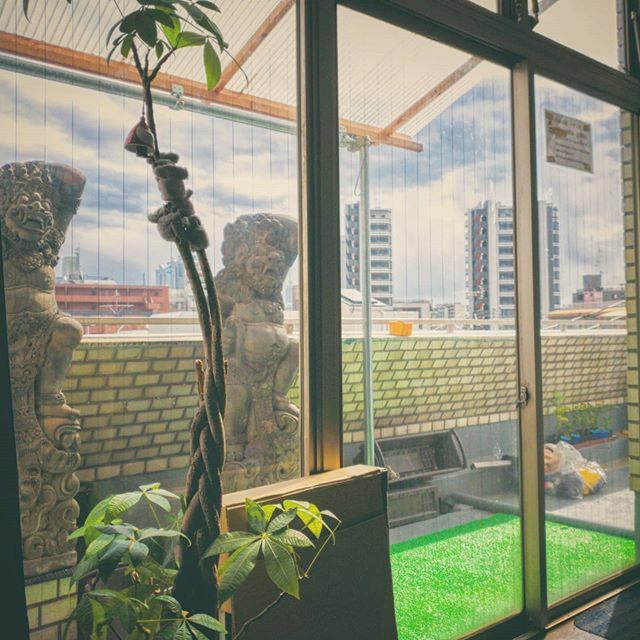 AndyLifeInVideo's tweet photo. Chill day in the guesthouse today! #nakano #nakanoguesthouse #nakanotokyo #nakanojapan #boxlife #livinginabox #japanminimalist #tokyocheapo #studentlifeinjapan #collegestudentlifeinjapan #japanguesthouse #japanesestatues https://t.co/0C4upS7FF3 https://t.co/vo7cIIddX4