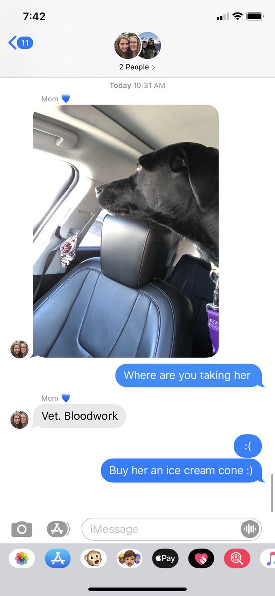 abbeydurand's tweet photo. My poor little buddy had to go to the vet today, so my mom bought her some ice cream. 😊💕 https://t.co/vZfkJAjDtY