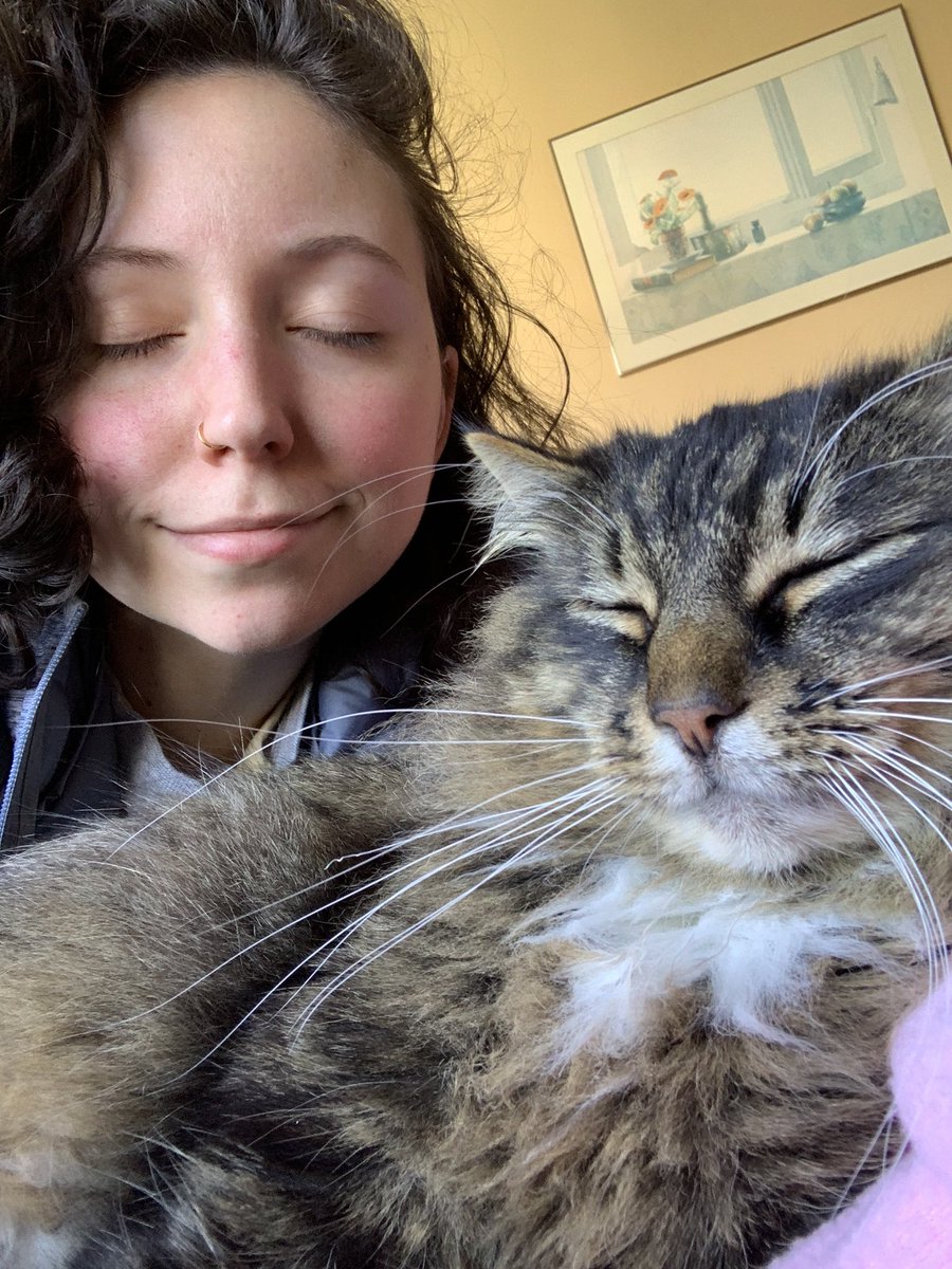 erin (@erinthekrogh) on Twitter photo 