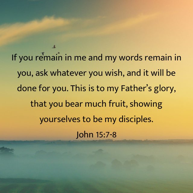 first_hollywood's tweet photo. Day 8-Focus Scripture: John 15:7-8
#INCREASEFocus #FirstChurchHollywood https://t.co/sxFkuWVu7H