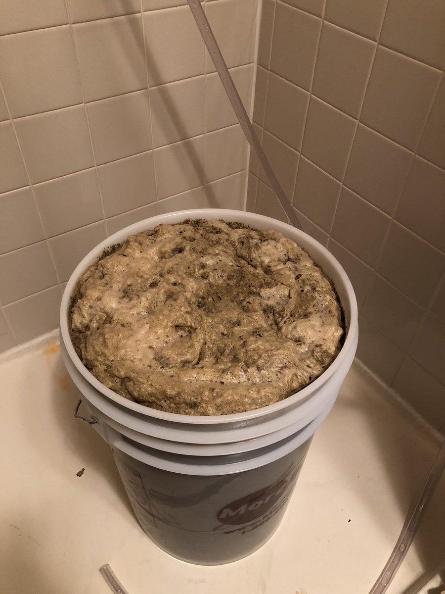 tom_raley's tweet image. Trying my first open fermentation on a Schwarzbier. Mostly because it’s exploding out the top and I didn’t feel like doing a blowoff or dealing with the explosion 😂

Also thinking of a @MeatDevs spinoff but BrewDevs instead 🤔

#homebrew #devswhobrew #devbrew