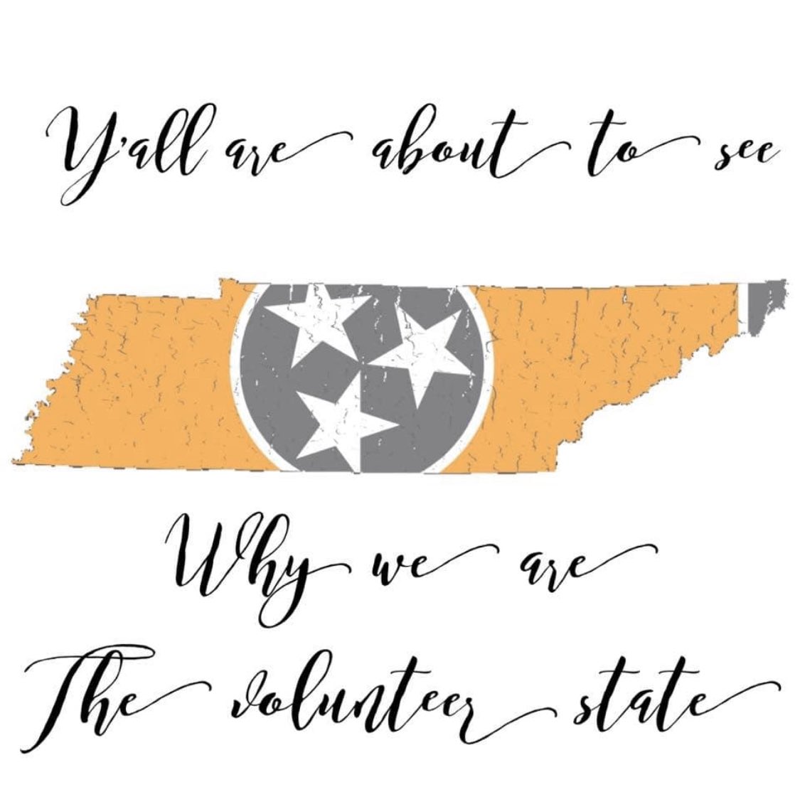 dr_apryl's tweet photo. @realDonaldTrump @GovBillLee @MarshaBlackburn https://t.co/ufdTvUELAH