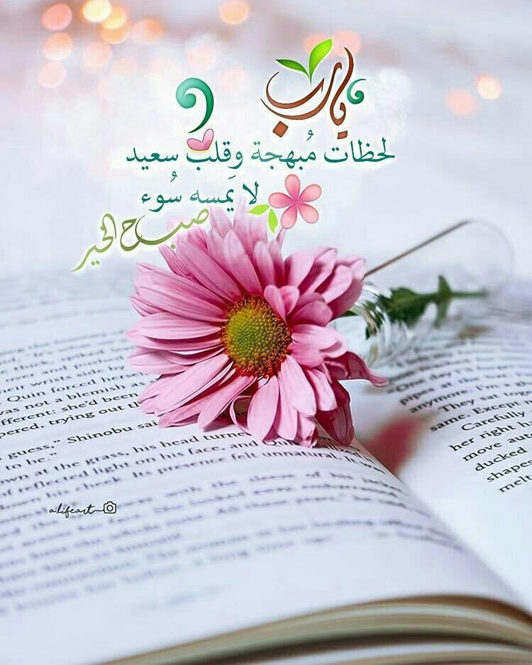 أ.ماجدة الحميد tweet media