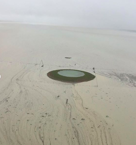 rftte's tweet image. Top shots from Tomo (rapley_95 insta):  What it’s like up north when the country’s wet... Tablelands Northern Territory

Check out more from @rapley_95: instagram.com/p/B9Sny5Tgnok/…

#ntrain #rain #australia @TheNTNews