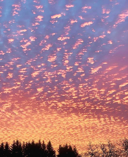 SilvertonInn's tweet photo. Quite the gorgeous (almost) spring day we���re having in #Silverton, with a sunny high of 55! It reminds us of a beautiful sunrise from this year. If you visited in late Jan., you may very well remember it! Thankfully @realfarmerdawni was around to capture the beautiful moment! https://t.co/NQZ9Ehw9Se