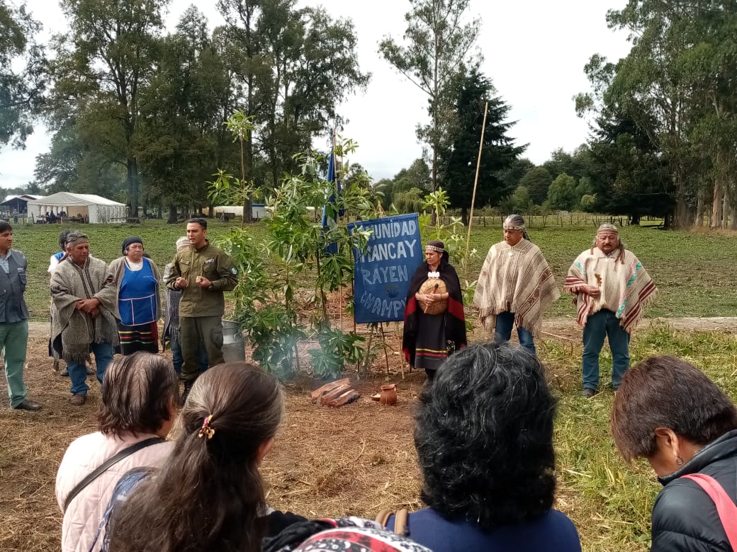 CarabLosRios's tweet photo. Carabineros de la Of de Integración Comunitaria y Comisario de #RioBueno, participaron de la cosecha de la quinua organizada por la comunidad indígena Amancay Rayen en la localidad de #Champulli. 
#ElRanco https://t.co/0SSHwc3Meu