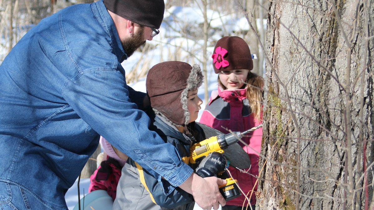 fernresort's tweet photo. We're counting down the days to March Break. Learn how to tap your very own maple tree and try maple taffy! Book a March Break Getaway package today.
#marchbreak #ontariosallinclusive #maplesyrup #familyvacation #resortsofontario #discoverON @BruceGreySimcoe #skatingtrail https://t.co/wPZgAcJpiP