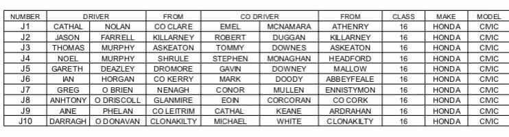 ThisIsIrishRallying tweet media