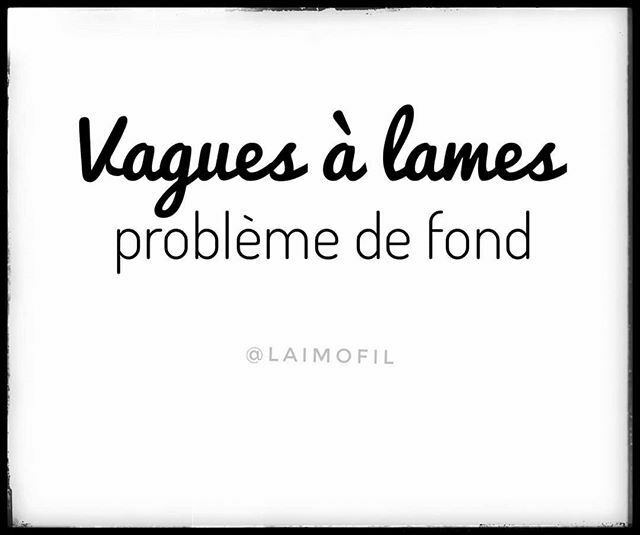 Laimofil Laimofil Twitter