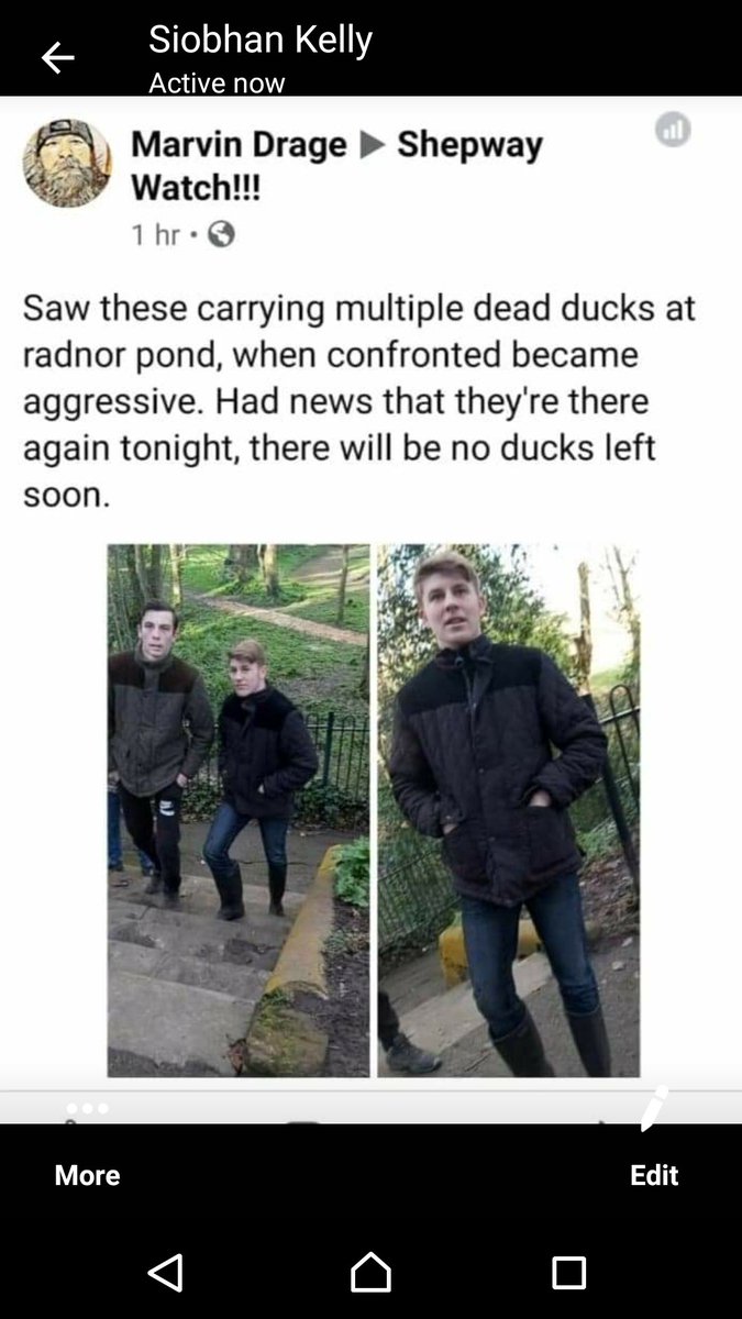 sbatch1's tweet image. If anyone from the shepway uk area knows either of these two please report them to the police or the rspca please rt.