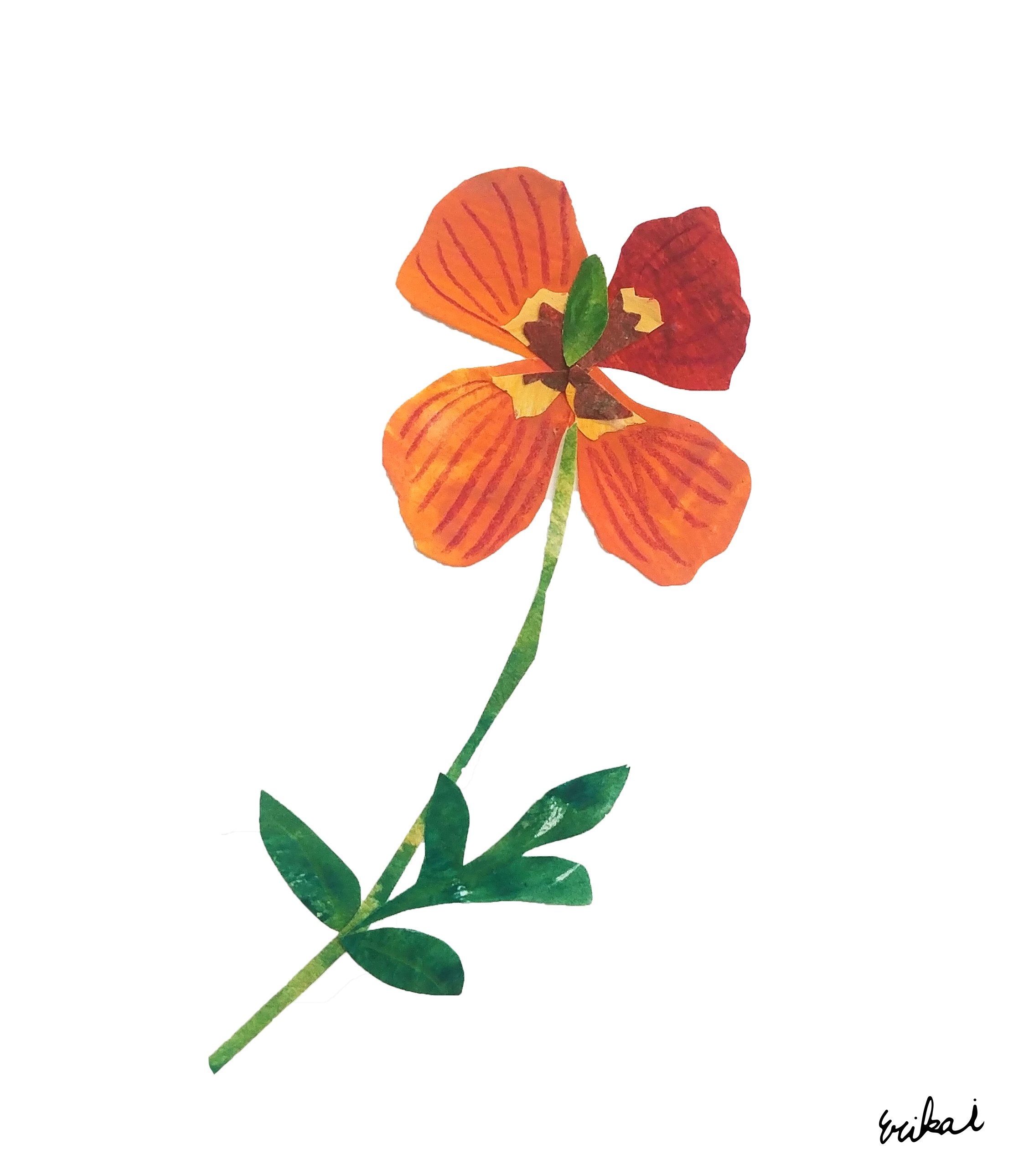 Windpoppy Twitter Search Twitter