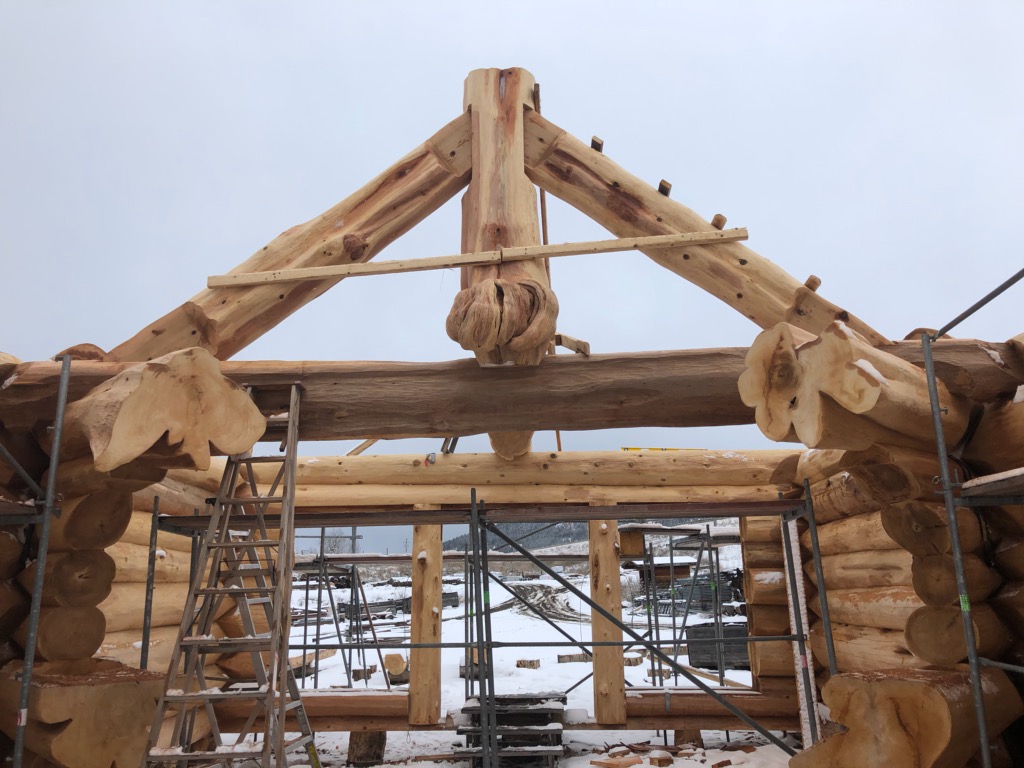 tk_brad85's tweet photo. Removed this burl from the base of a Western Red Cedar so it could become the feature section of our famous "Hanging Log King Post Truss"
#timberkings #WesternRedcedar #finestloghomesonearth https://t.co/hxIVEygakT