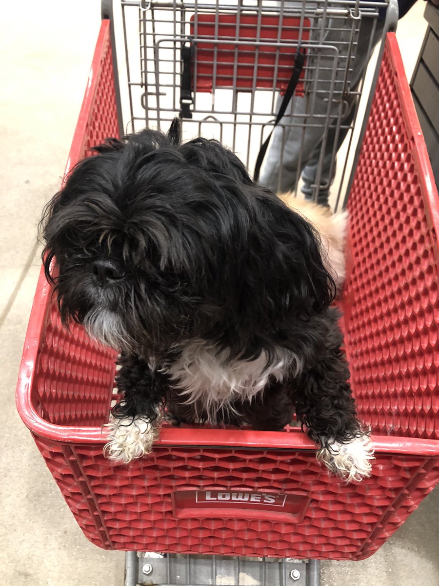 Lowe’s Dogs (Lowes_Dogs) Twitter