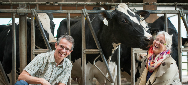 UBC Animal Welfare tweet media