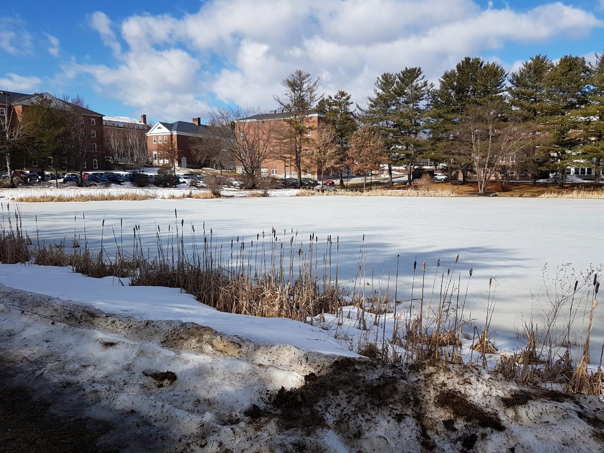 LabMolCelVirol's tweet photo. Today, our PI @sotorifo talked about #HIV #m6A #epitranscriptomic at @BatesCollege @LabMolCelVirol @CHAIR_VIH @ICBM_UChile @MedicinaUChile @uchile @SocBioquimica #MNiD #RNABio https://t.co/UV3qzpyNG1