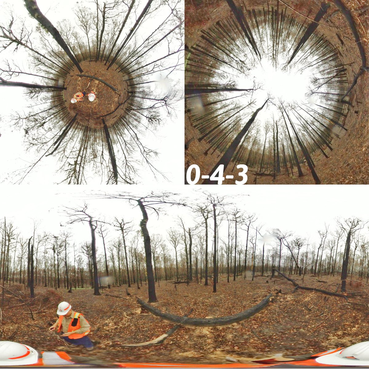 Jane_Ruizhu's tweet photo. Did some photo editing for the multi-views of 360 camera photos #insta360 #360camera Looks much better!😄😁😆
Up left: Depression angle;
Up right: Elevation angle；
Bottom: panoramic. https://t.co/v5gL1jGb9Z