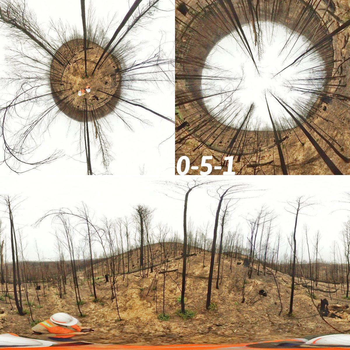 Jane_Ruizhu's tweet photo. Did some photo editing for the multi-views of 360 camera photos #insta360 #360camera Looks much better!😄😁😆
Up left: Depression angle;
Up right: Elevation angle；
Bottom: panoramic. https://t.co/v5gL1jGb9Z