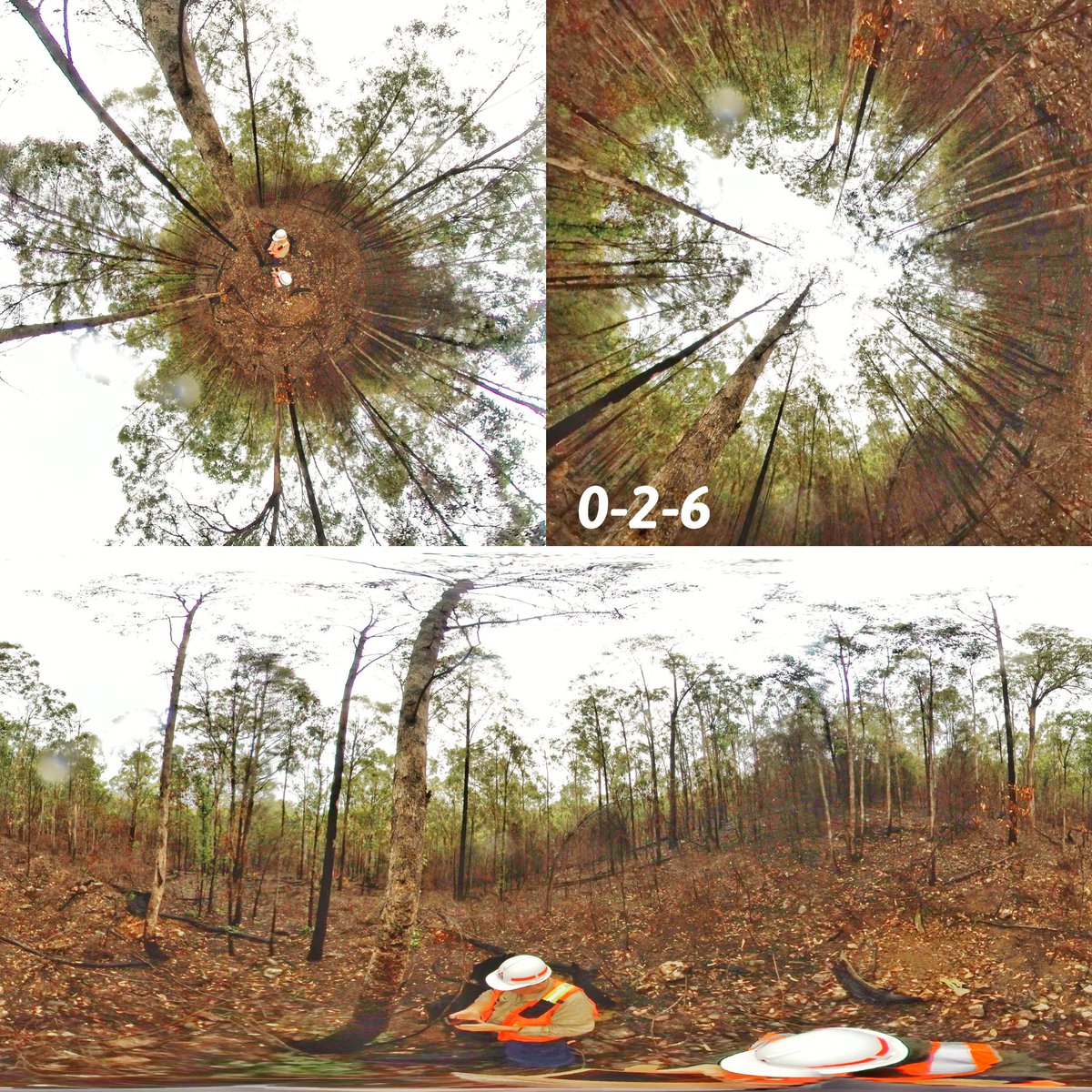 Jane_Ruizhu's tweet photo. Did some photo editing for the multi-views of 360 camera photos #insta360 #360camera Looks much better!😄😁😆
Up left: Depression angle;
Up right: Elevation angle；
Bottom: panoramic. https://t.co/v5gL1jGb9Z