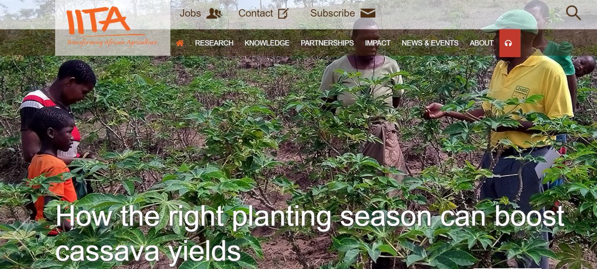IITA_CGIAR's tweet photo. How often do you visit https://t.co/SmT8tGTzbT❓

We are conducting a survey on the IITA website to help us improve it and better meet the needs of users. The #survey should take less than 1⃣0⃣ minutes to complete.

https://t.co/7qJGMenHzO #Feeback #Ux https://t.co/iFOe06X4hb