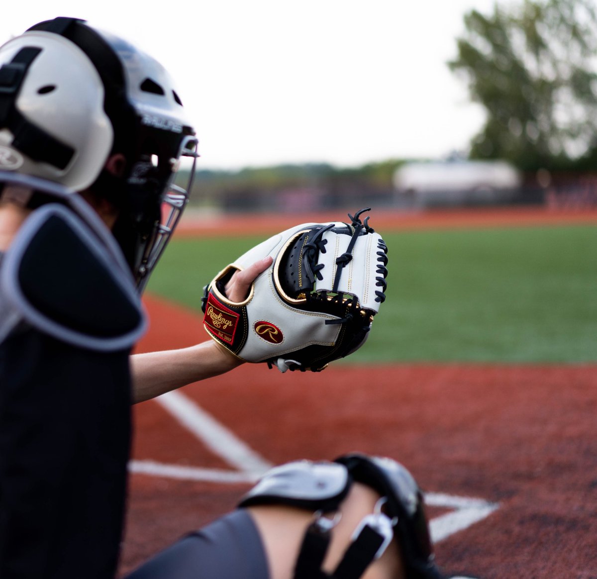 RawlingsSports's tweet photo. Did you know the Rawlings Encore glove series comes game ready? The patented web technology and deep pocket design allows you to quickly secure the ball. Every great play deserves an Encore, shop now at https://t.co/bPUxo9FpXa #TeamRawlings #RawlingsEncore https://t.co/XfT5iTaI8a