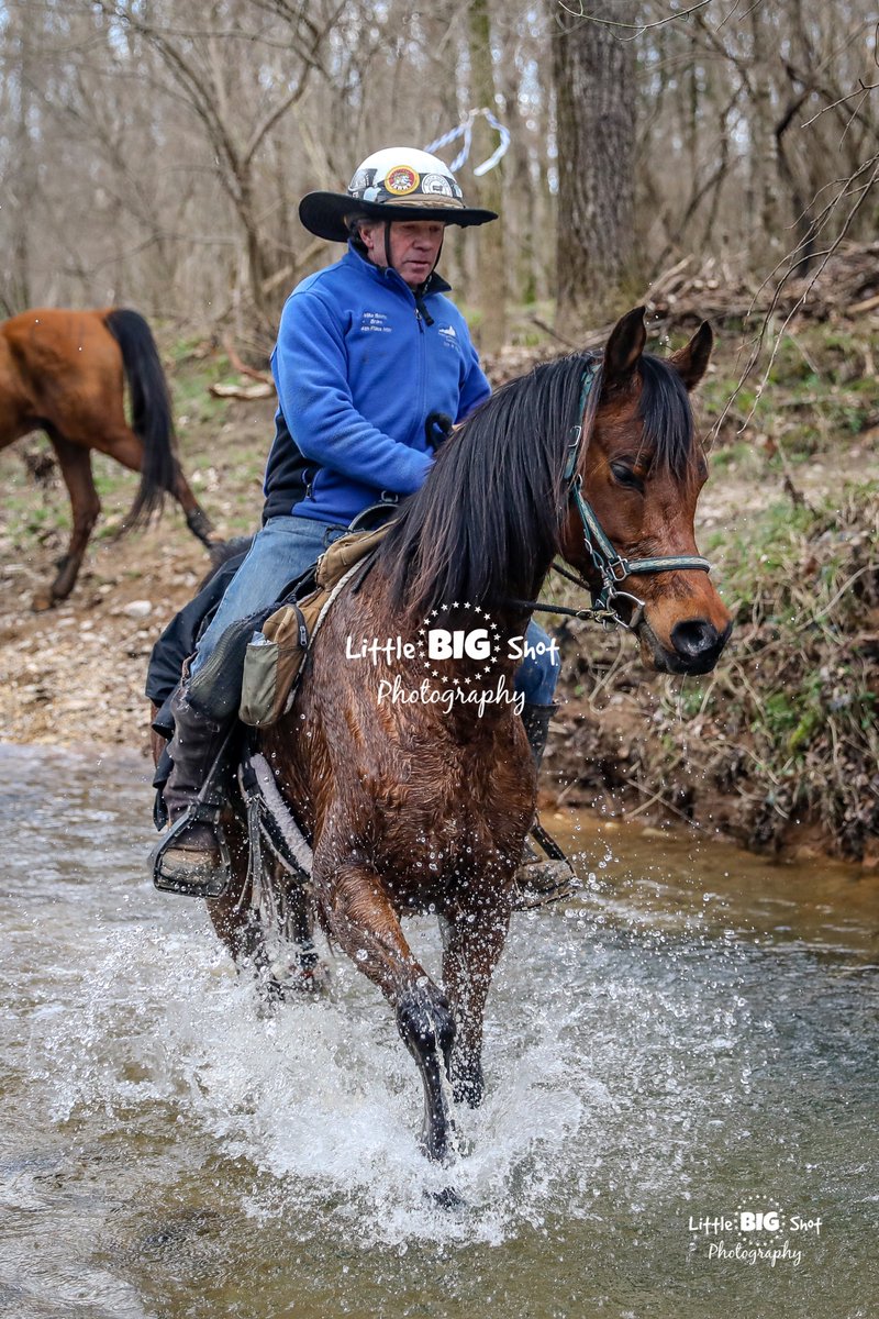 LittleBIGshot7's tweet photo. Over 500 photos from this weekend's Take No Prisoners Endurance Ride available at https://t.co/Er8T9TPoNT https://t.co/uRmlso9YmS