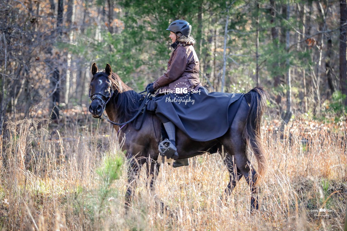 LittleBIGshot7's tweet photo. Over 500 photos from this weekend's Take No Prisoners Endurance Ride available at https://t.co/Er8T9TPoNT https://t.co/uRmlso9YmS