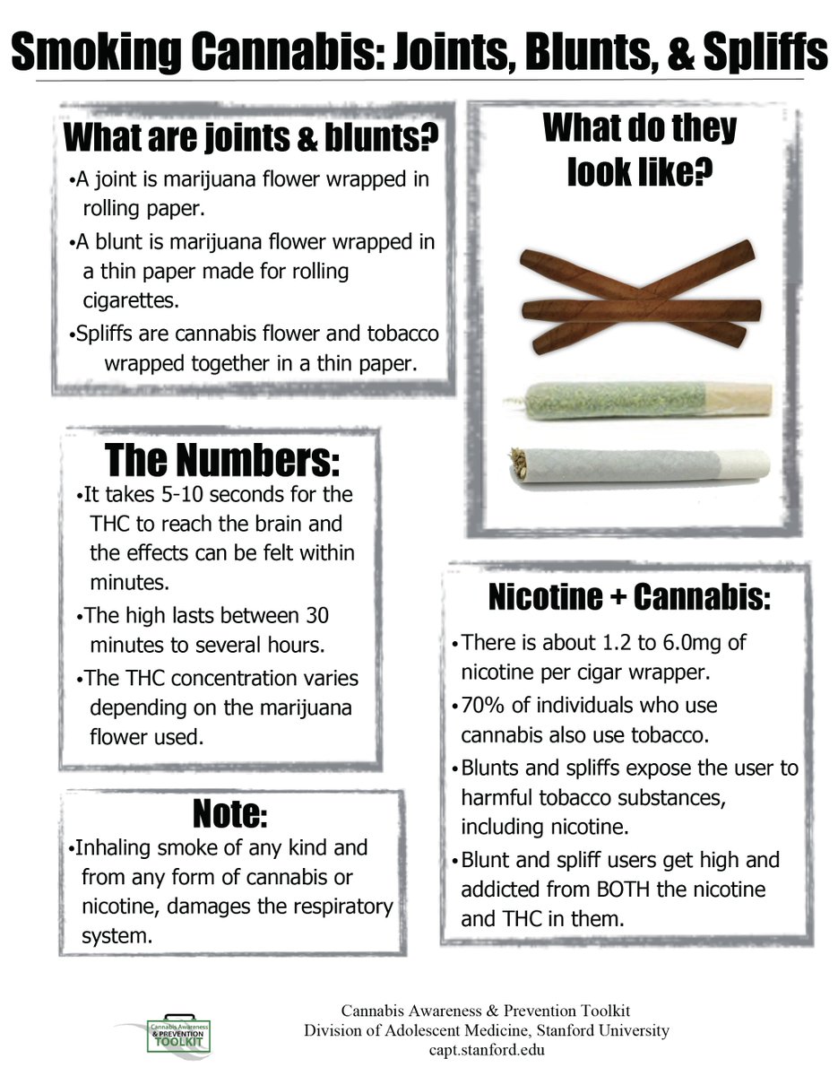 CaptStanford's tweet photo. #NewCurriculumAlert📢We are excited to announce that our "Smoking Cannabis Factsheet", as well as the "Methods of Use Activity" now include spliffs in CAPT!
Learn more about spliffs by clicking the links below👇🏼
https://t.co/LNqn72tzSu
https://t.co/Yf3IhlHvJv https://t.co/2DCcEhxdMk