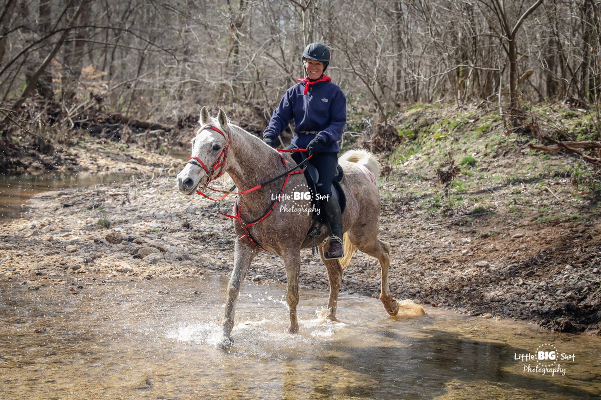 Over 500 photos from this weekend's Take No Prisoners Endurance Ride available at LittleBIGshotPhotography.com/f142378451