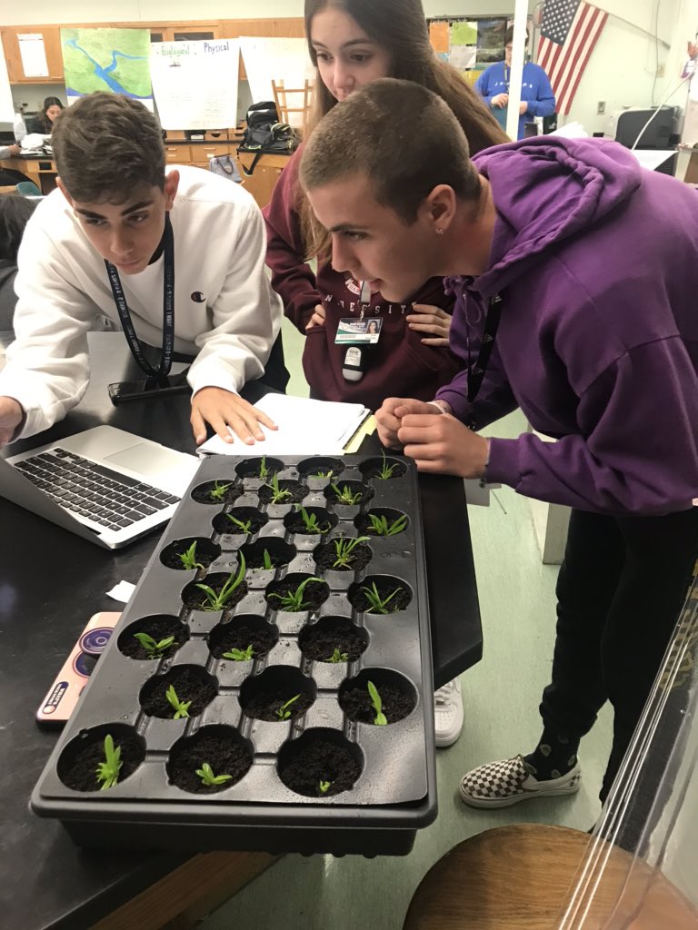killianfc's tweet photo. @killianfc @FairchdChallnge @millionorchid natives and hybrids doing well🌸containers show no signs of contamination. 🌝 https://t.co/VTxbIRcMKP