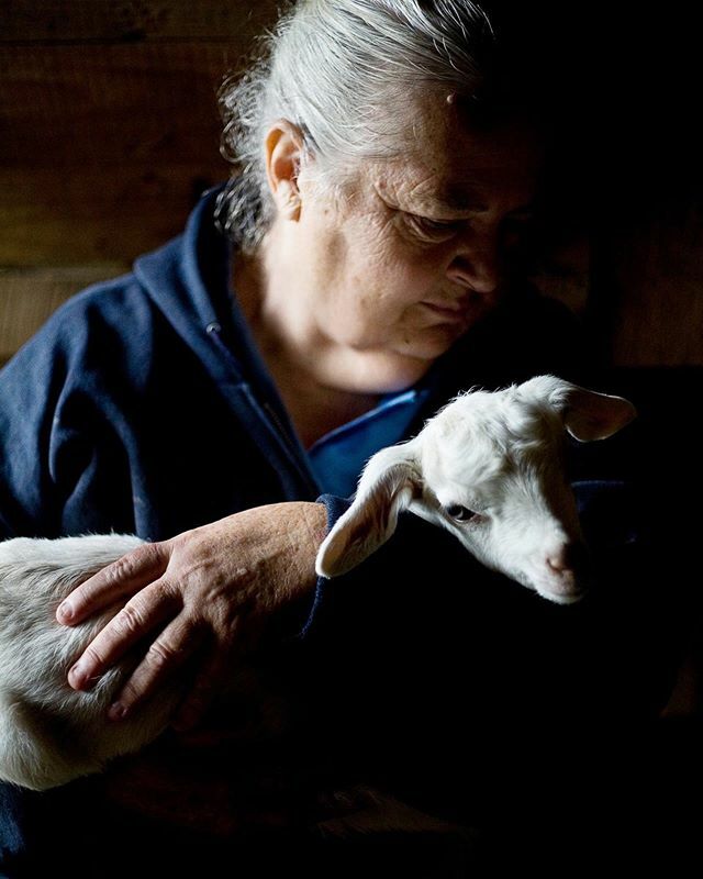 TheLightFactory's tweet image. Don’t forget that our Storytelling with the Camera workshop is right around the corner—and we still have spaces left. Visit the site to register today. ift.tt/2VRiffP